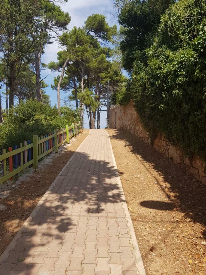 Apartment Zdenka Veli Losinj Bagian luar foto